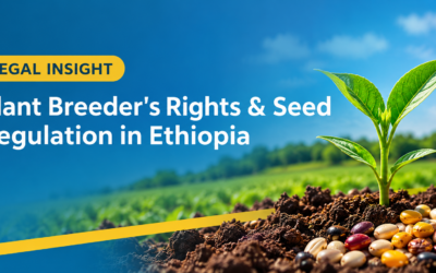 Plant Breeder’s Rights and Seed Regulation in Ethiopia